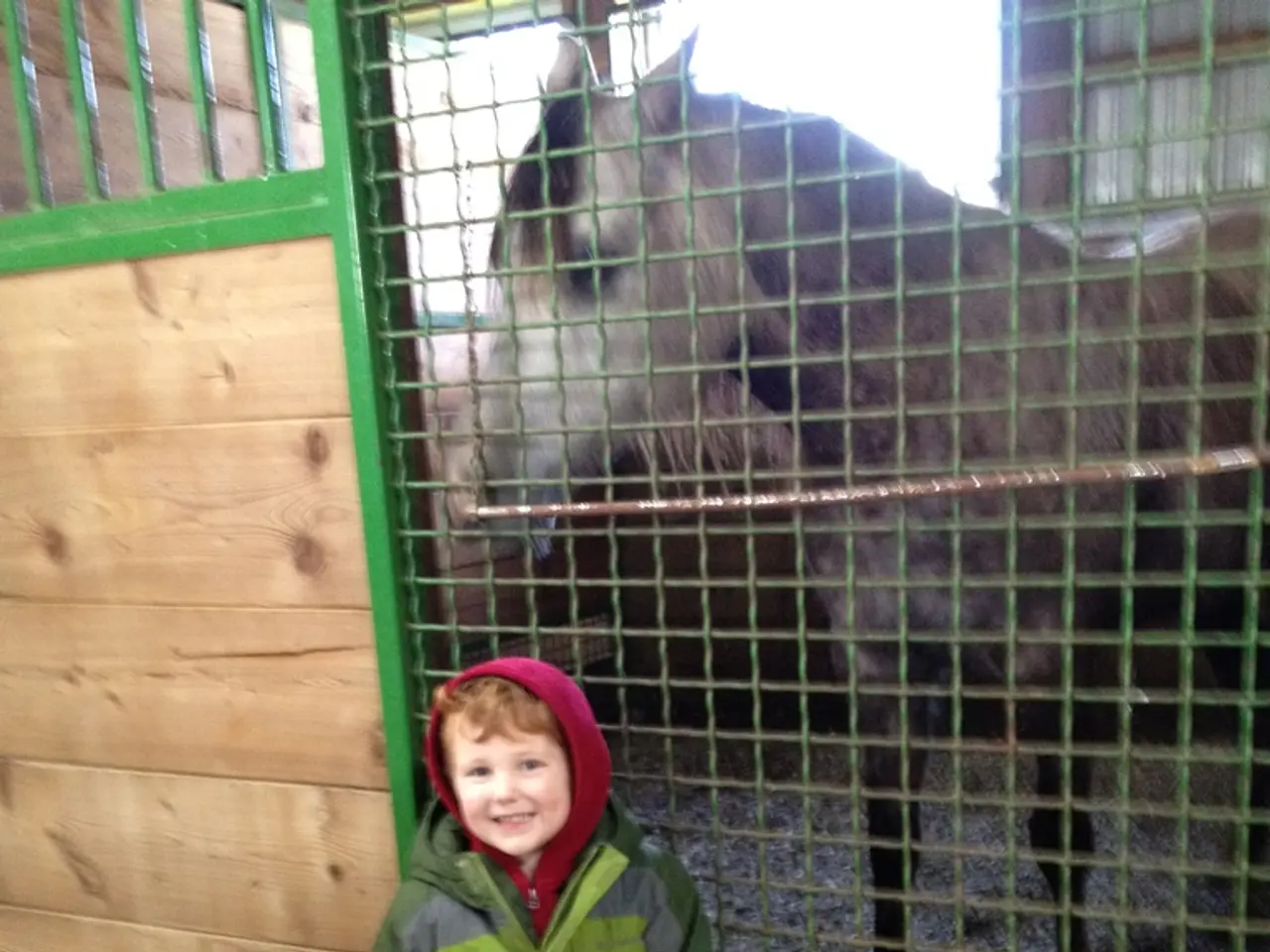 Celebrating the 302nd Birthday of Adam Smith: His Economic Theories Remain Vital Today