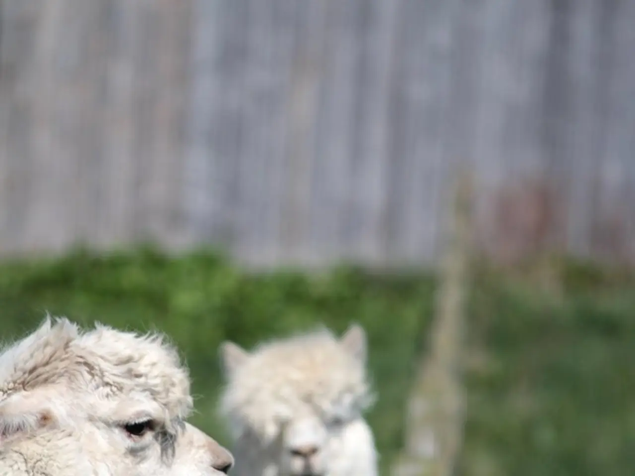 Trade negotiations set for autumn 2025 between the UK and Switzerland in their eighth round