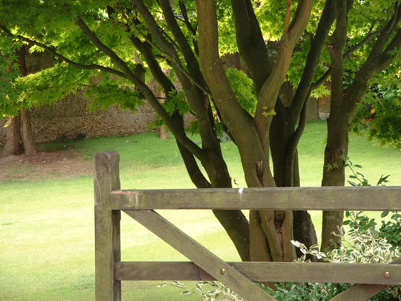 Increasing Representation: A Call for More Black and Brown Congressional Leaders