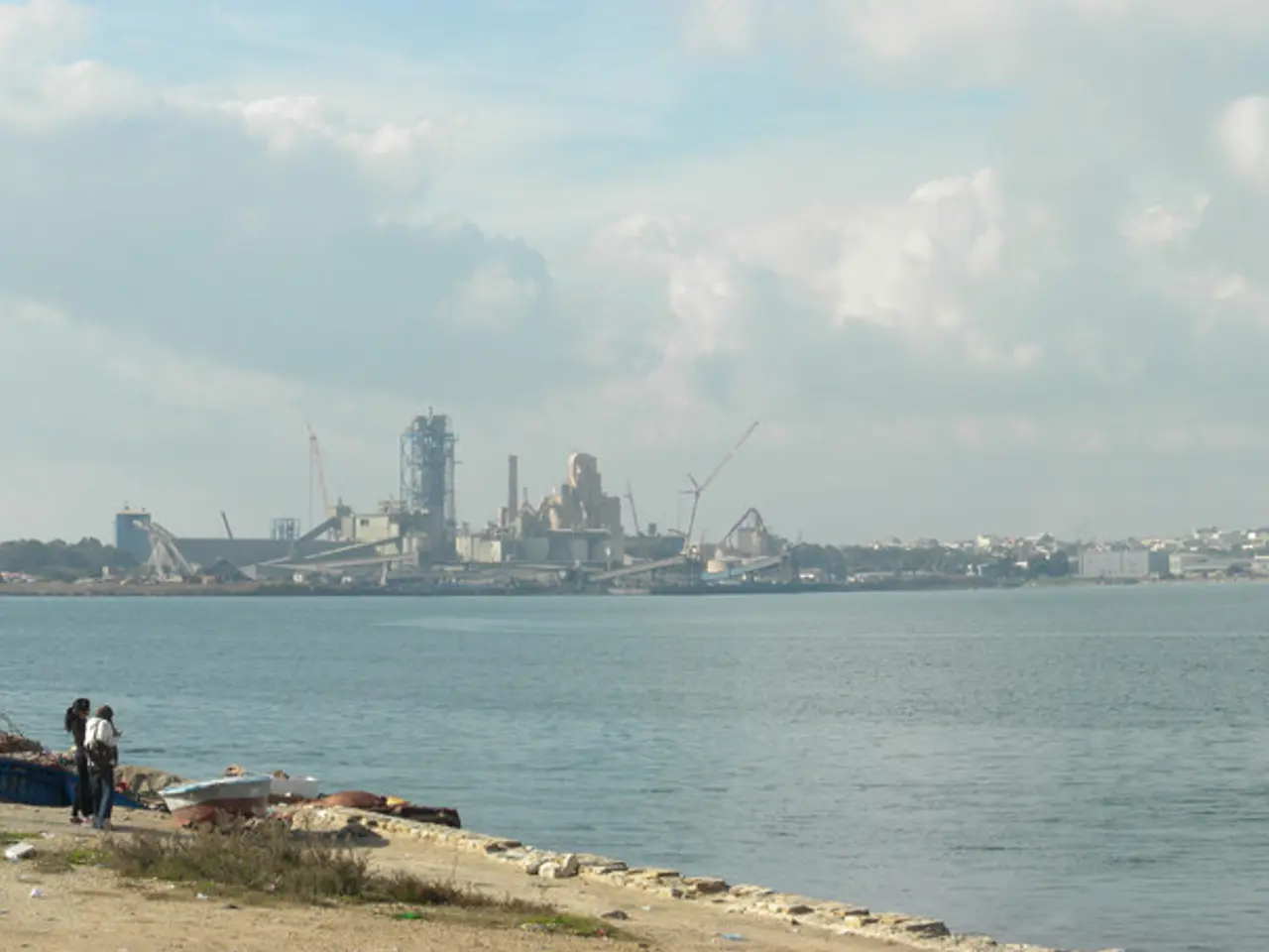 "19th Century River Expertise": Yevdoquia Melnikov's Dominance in River Shipping Business of the...