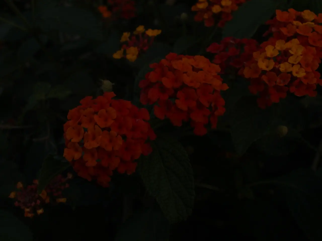 Exploring the Amendments of the Biological Diversity Act in 2023