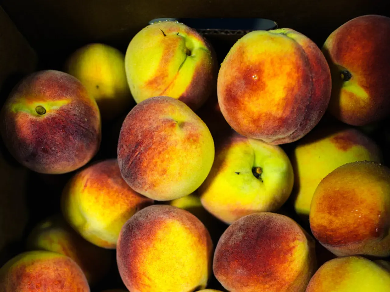 American commerce secretary promotes absence of chip taxes for corporations constructing factories...