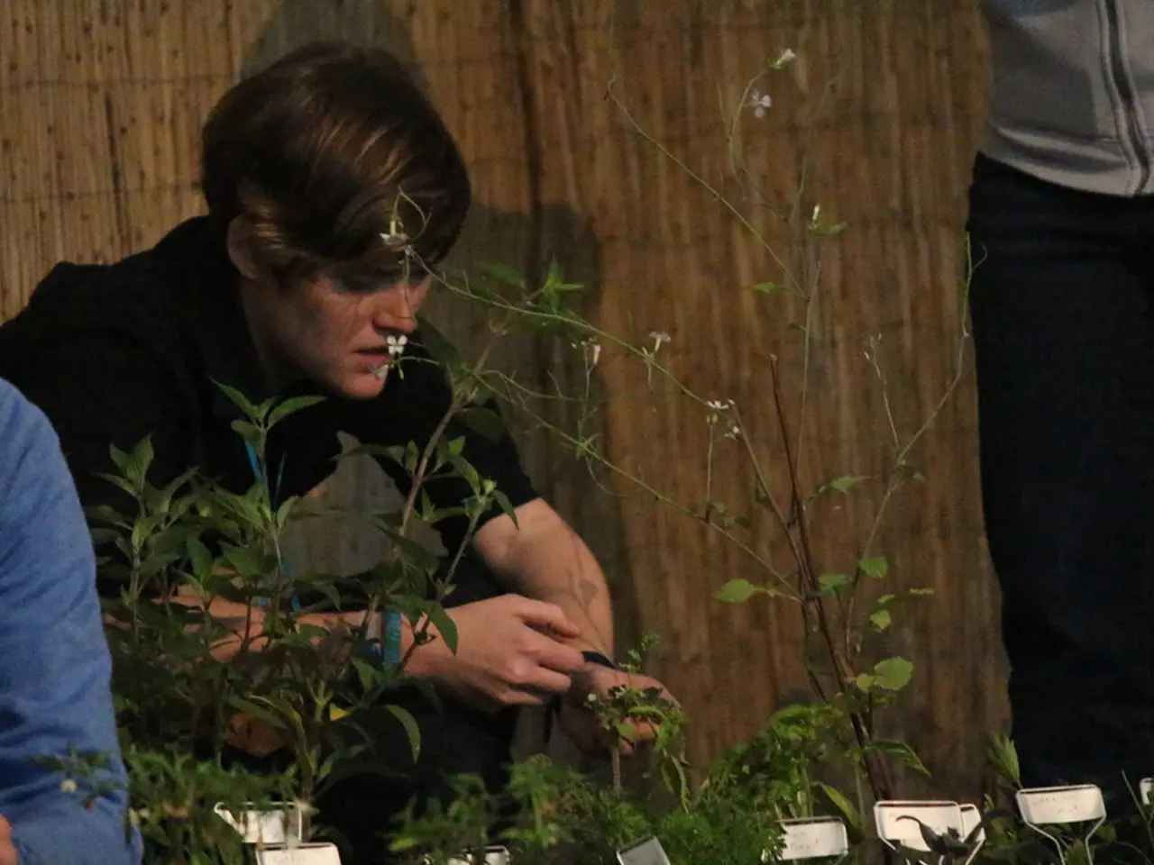 Investigation Directed at DG Over Labeling of Unsubsidised Products with Sponsored Urea by CCI