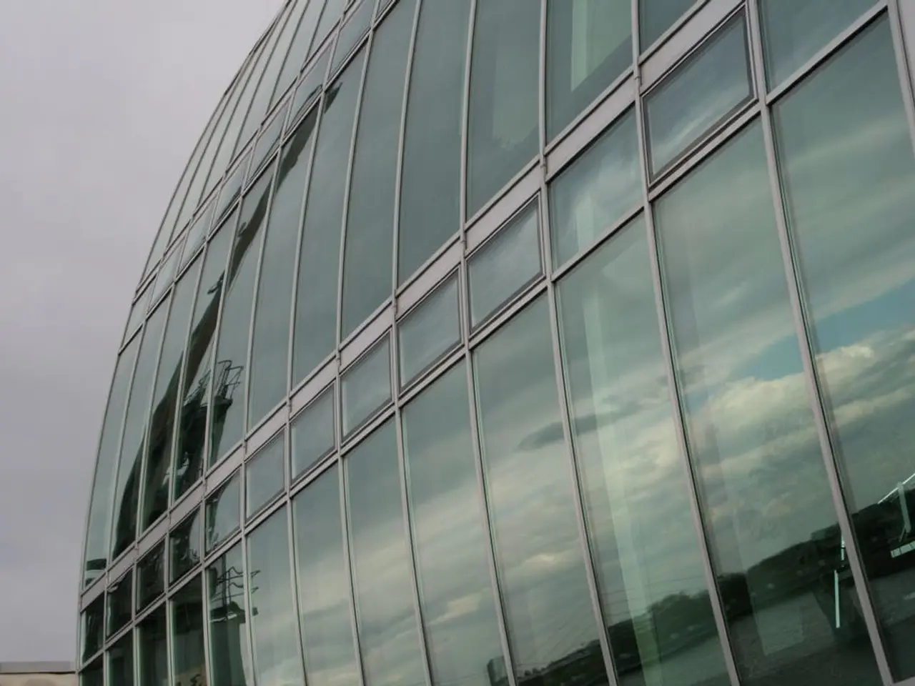 Financial Management Solutions Provided by Expert Virtual Chief Financial Officers