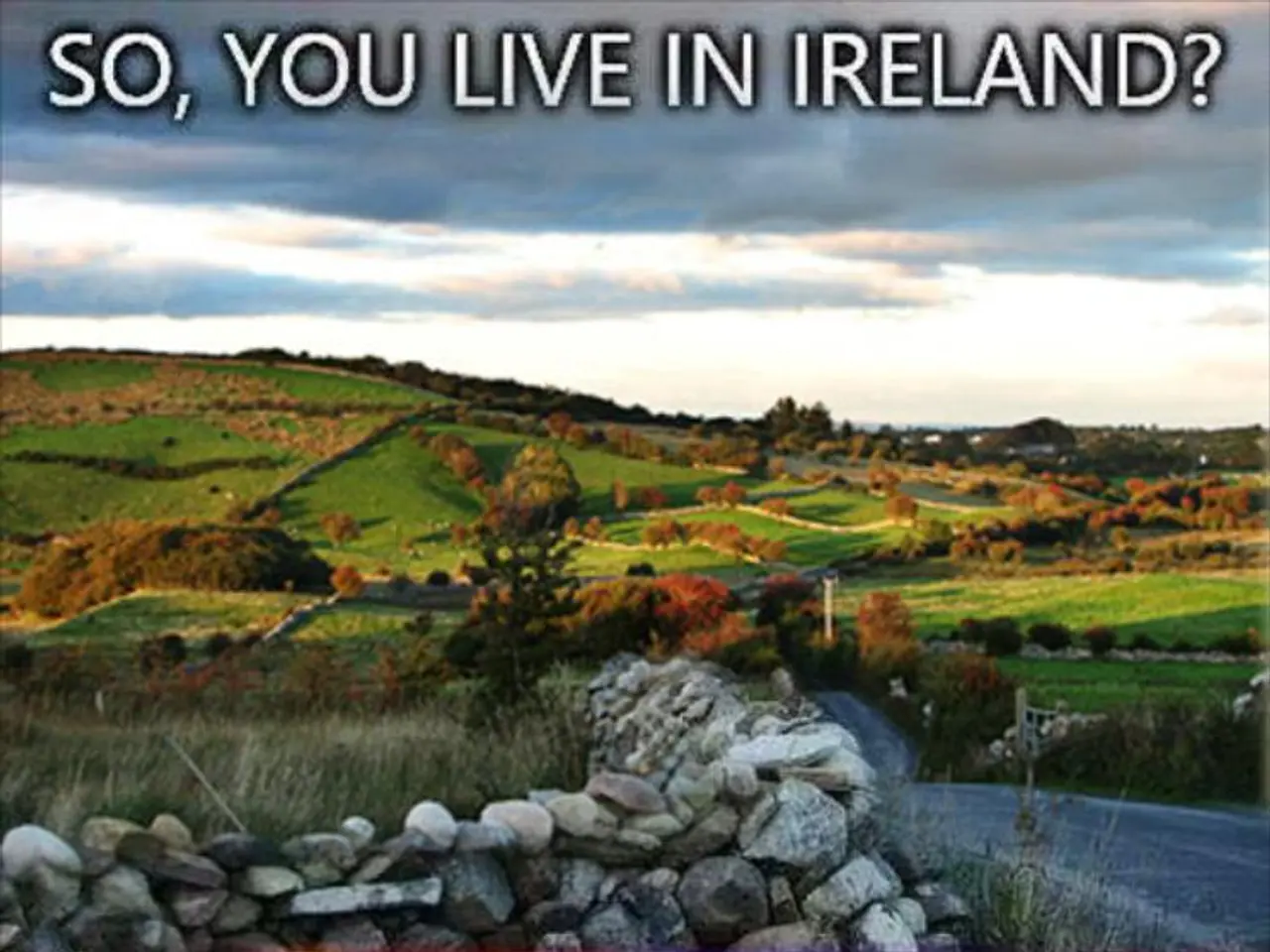 Granting of Public Funds for Company's Restructuring Was Noted by the Commission