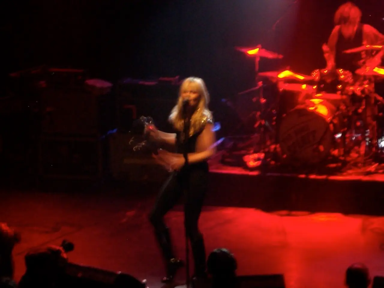 In this picture I can see audience and a woman singing with the help of a microphone and I can see...