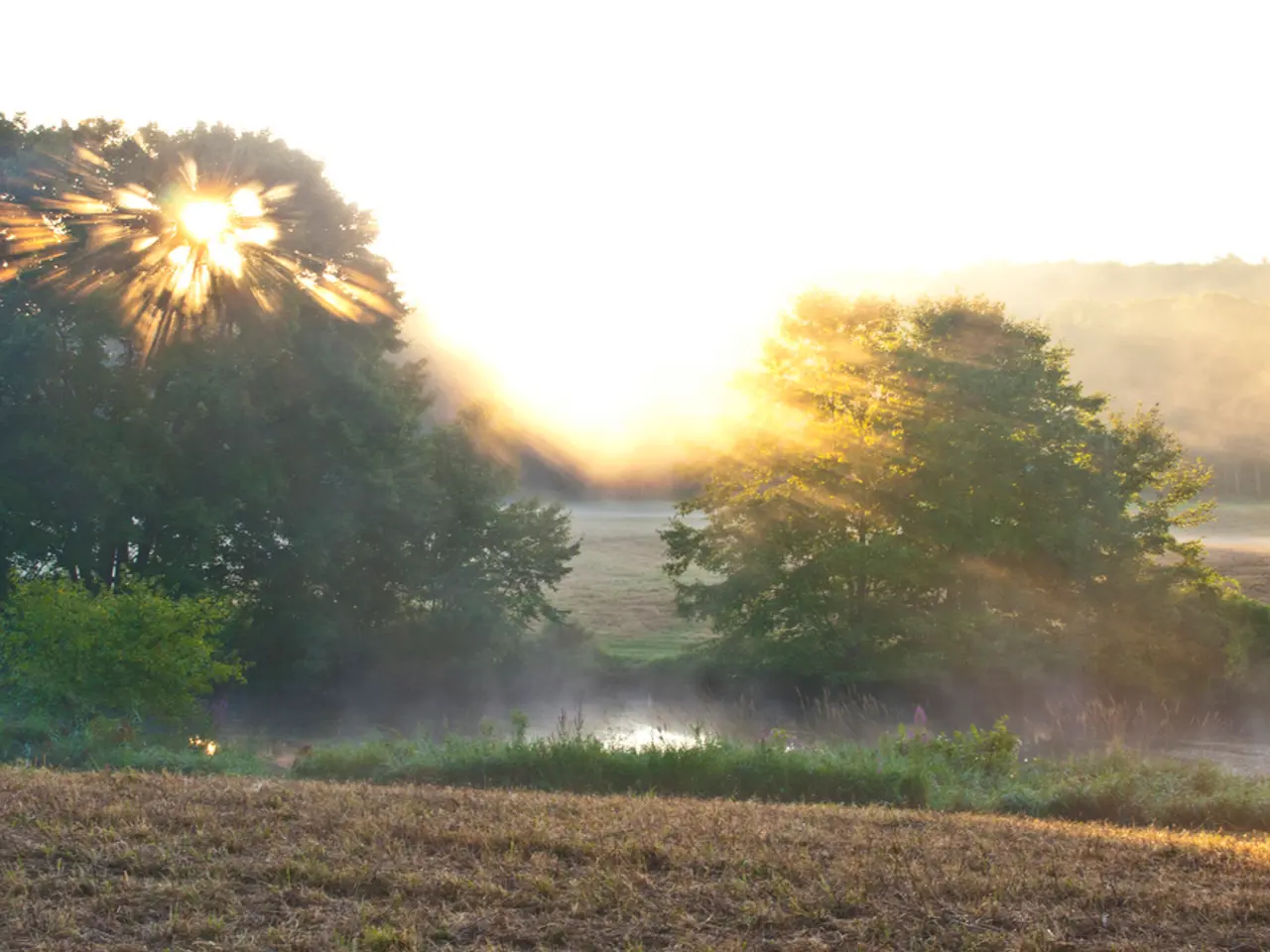 There are trees, it seems like water in the foreground, there are trees, sky and sun in the...