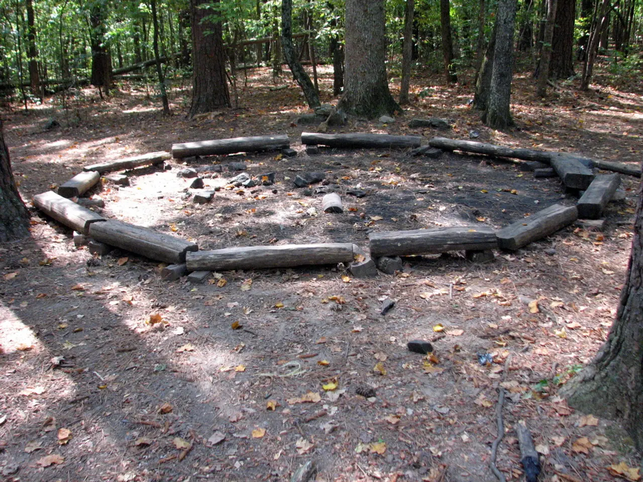 In this image I can see there are many wood on the ground and at the back, I can see there are many...