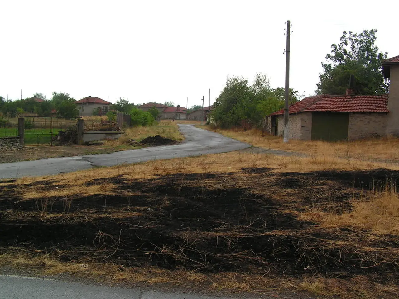 In the image I can see a place where we have some houses, trees, plants, dry grass and some poles.