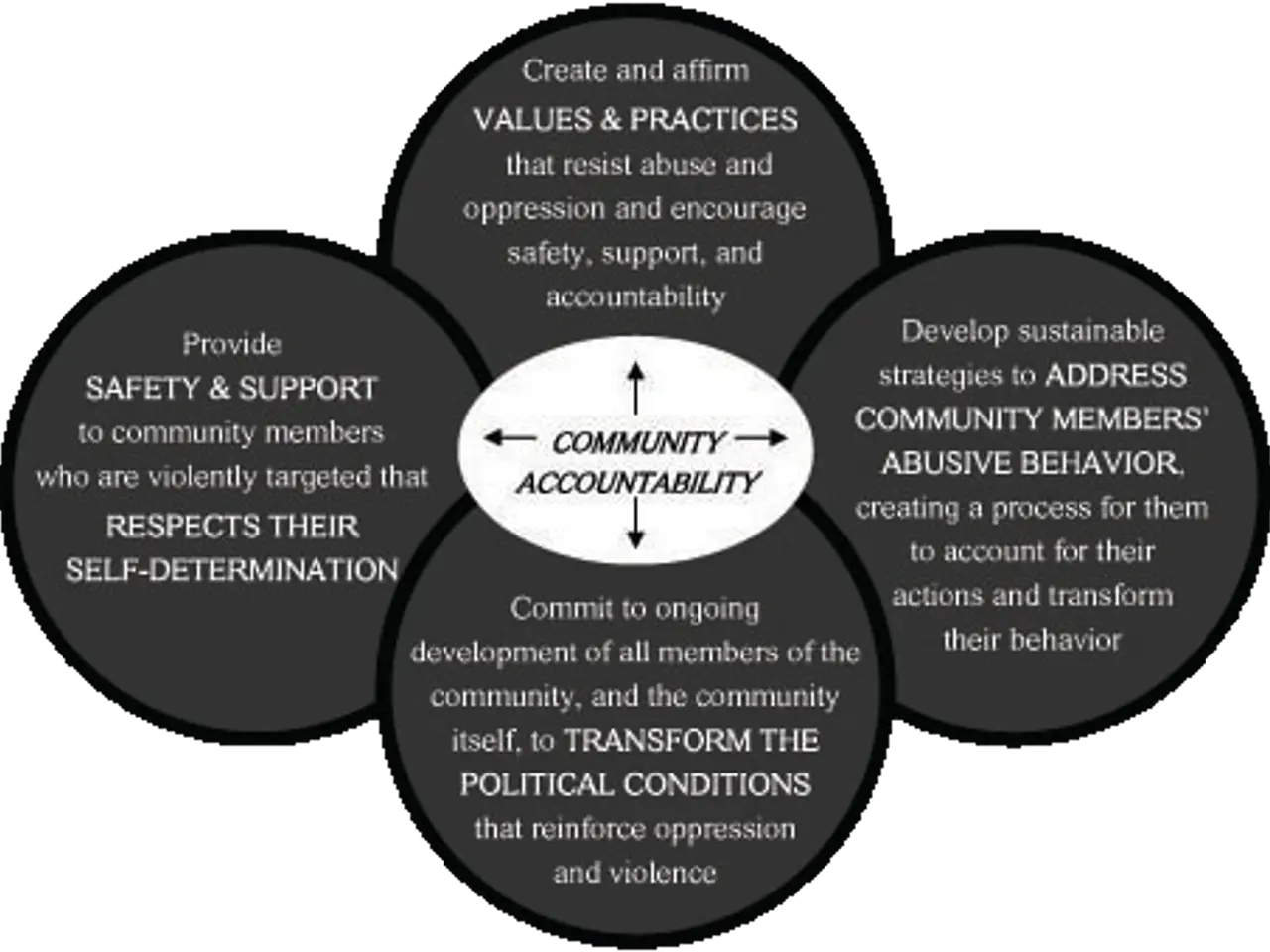 The image shows a circle with the words "community accountability" written in the center,...