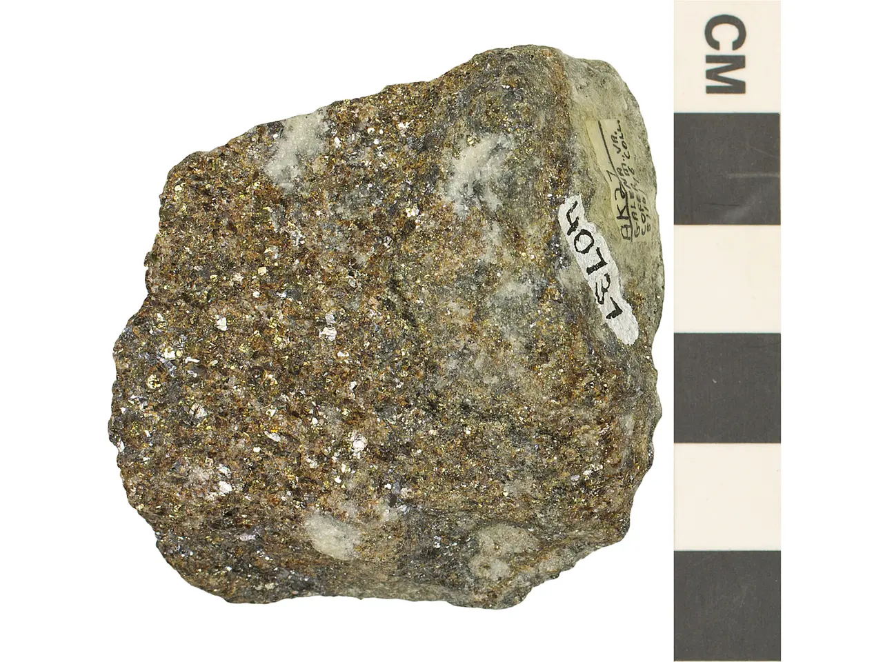 The image shows a rock with a small amount of gold on it, set against a white background. On the...