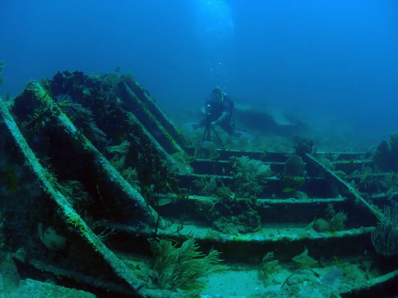 The image shows a scuba diver exploring the wreck of a ship in the ocean. The diver is wearing a...