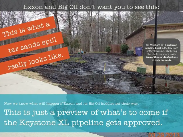 Enthusiasm of Gifhorn's CDU Over Trash Collection Drive