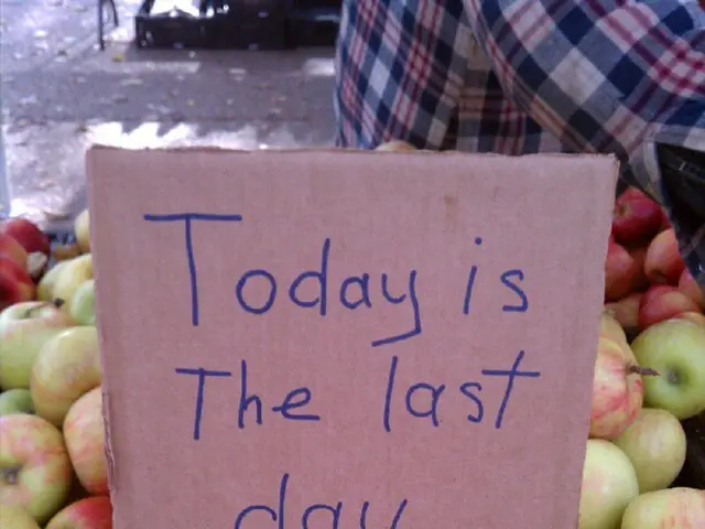 Infineon stock experiences repeated daily declines