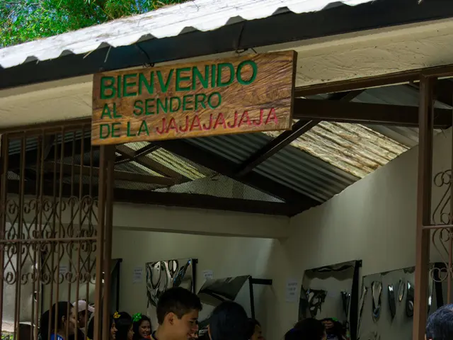 Tips for Launching a Business in Denmark: Essential Steps and Requirements for Establishing a...