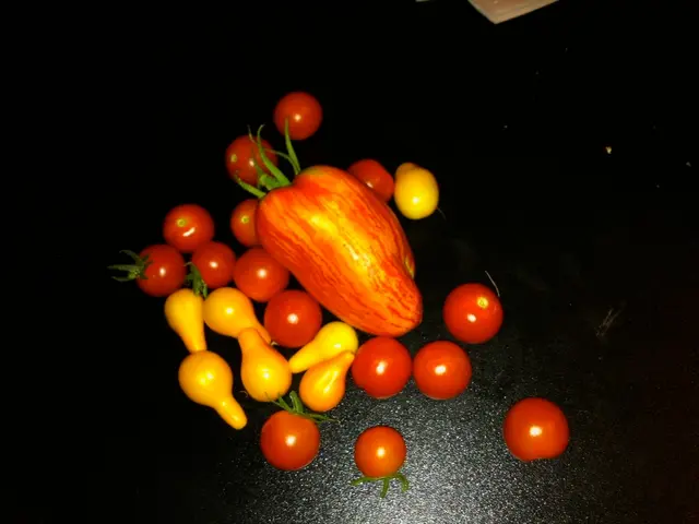 €9 million establishment unveiled in Tavira inaugurated