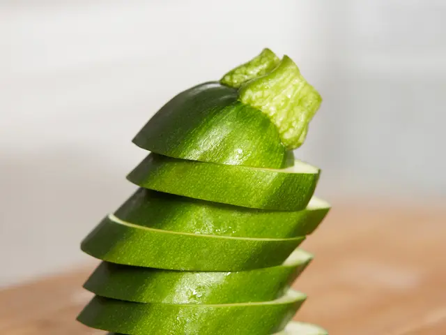 Following the conclusion of the pickle season, a pickle producer in the Spreewald is terminating...