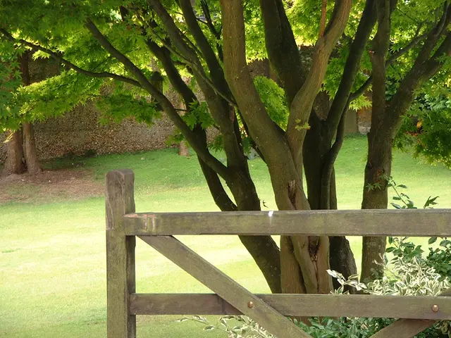 Germany's Economy Prioritizing Environmental Conservation with Growing Importance