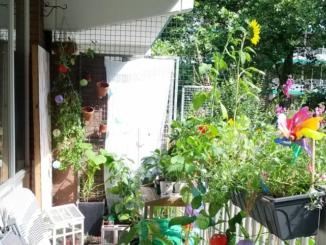 Tutorial on Home Mortgage Loans and Government Programs for New Home Buyers