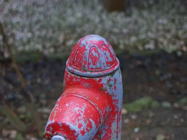 The eatery in the heart of Omsk has been inactive for a full month.