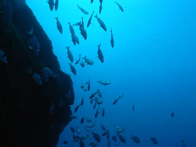 Oil production surge in the U.S. pushed OPEC out of the demand expansion equation