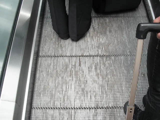 Top-tier Administrator for Chief Executive Officer