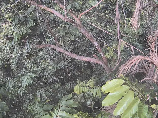 Connection between environmental degradation and corporate financial risk disclosed in recent...