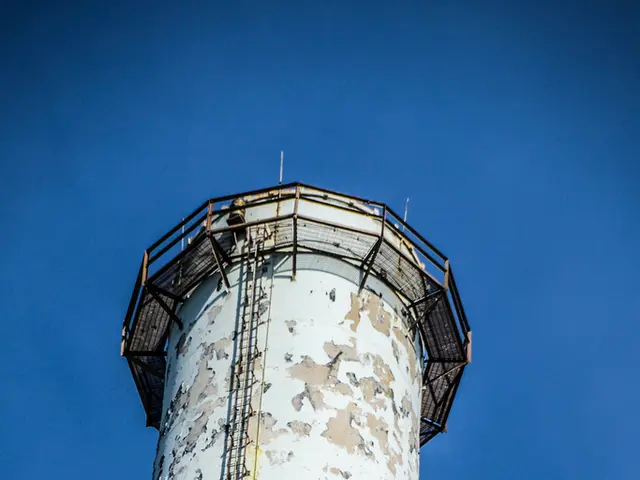 Mining Stocks Surge in Canada This Week: Notable 90% Increase in Mkango's Value Due to Spin-out...