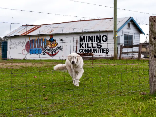 skyrocketing Irish property values persist, while pharmaceutical import tariff possibilities remain...