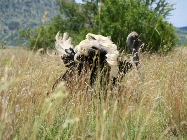 Expanded Financing Horizon by BNDES