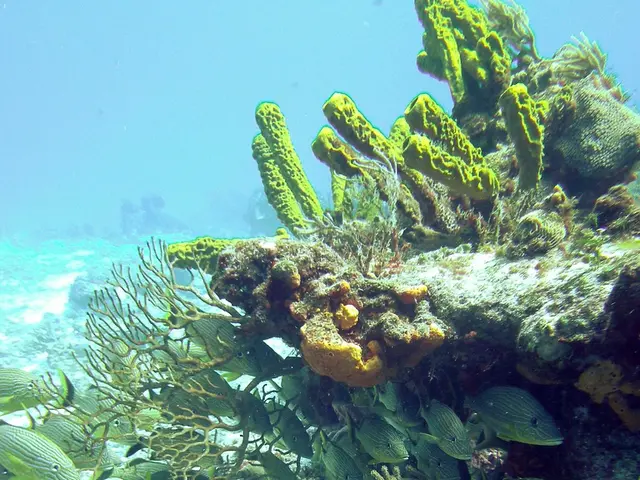 Enhances Ocean Protection Policies under #BackBlue Campaign on Our Website