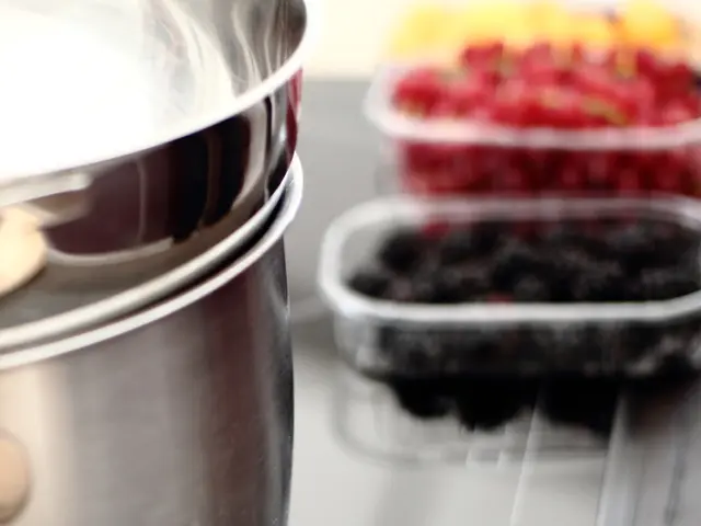 "Immigrants hold the key to Portugal's future" absence.