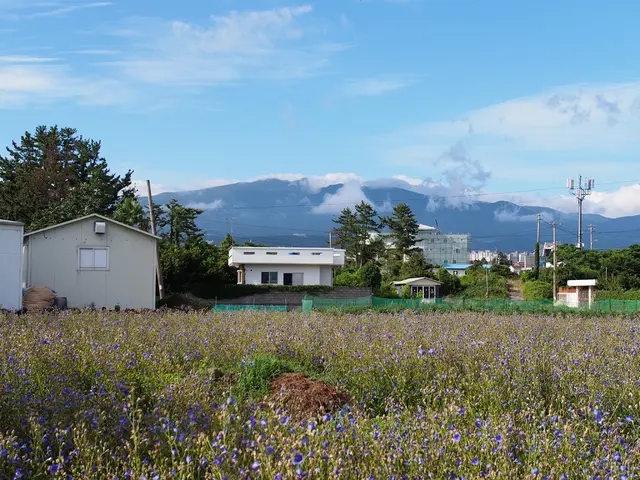 Solar energy company, Arnergy, secures $18 million funds for faster solar energy development across...