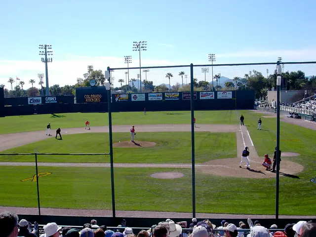 Data Mesh Architecture and the Chief Data Officer's Involvement