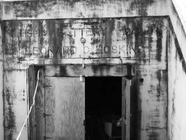 Construction company ZECH Bau SE has taken over Wolff, a fellow building firm.