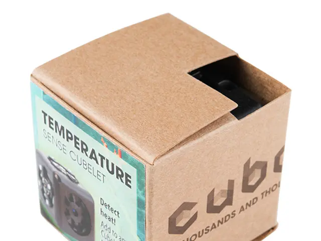 American Companies Procuring Eco-Friendly Packaging from India Despite Custom Duties