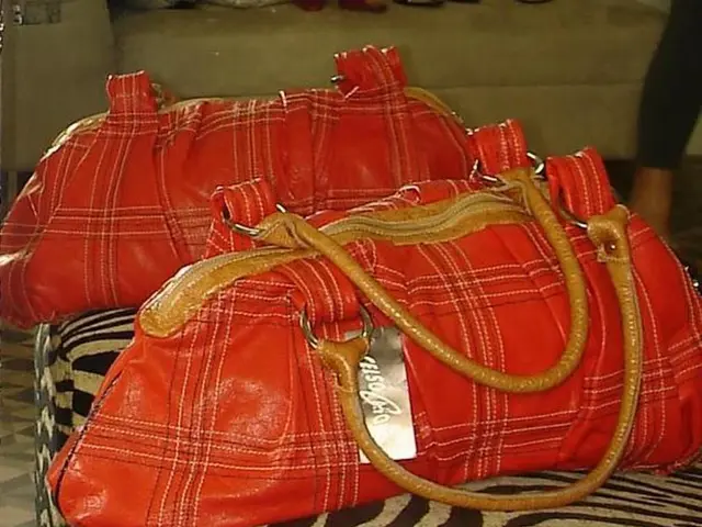 Finland declined prison rental from Estonia due to financial burdens