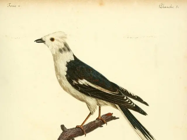 Advantages of revoking Bulbul's status: government announced