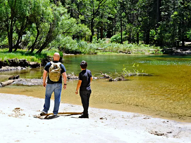 Banks Escaping Penalties: The Reason Behind Financial Institutions Avoiding Fines for Rule...