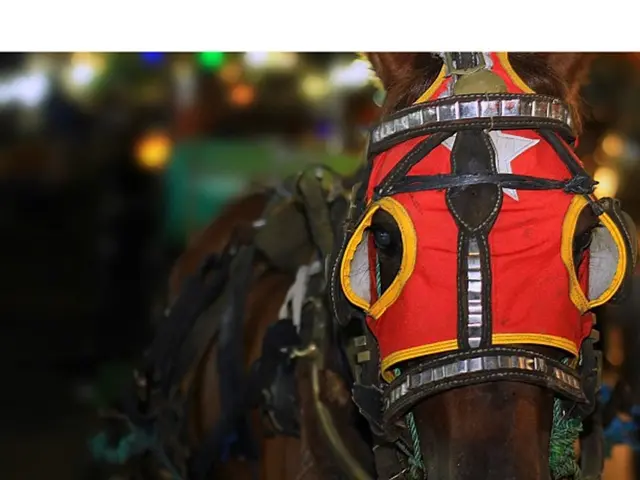 High-value residence in Abu Dhabi changes hands for a staggering Dh400 million price tag