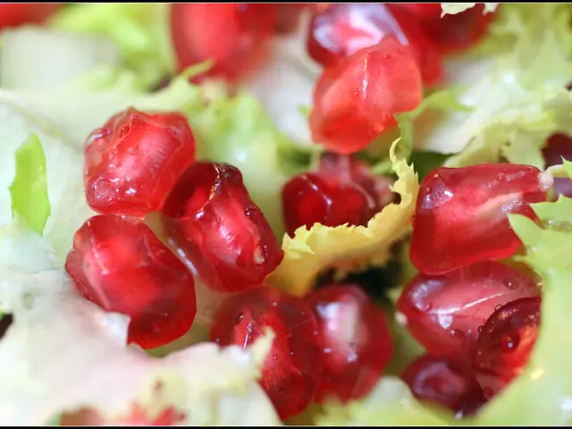 Perfetti Van Melle designates a new Human Resources Vice President for its Americas Business Unit,...