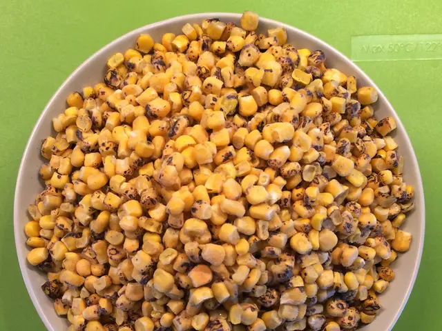 Corn Markets Maintain Slight Advance Amidst Strength in Export Operations