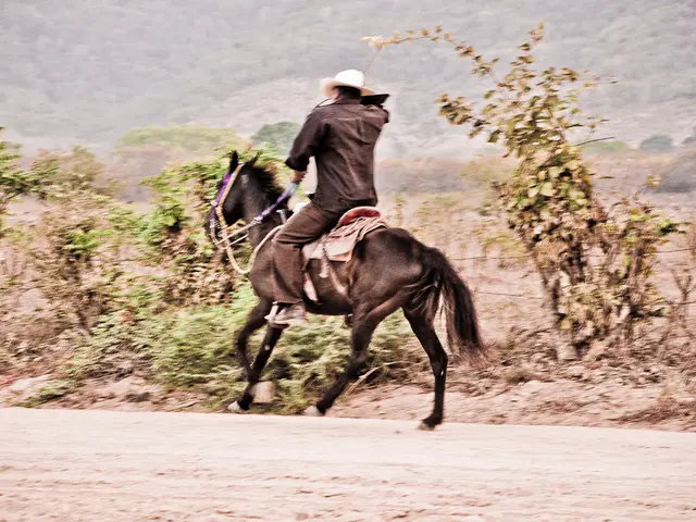 Expensive Land Seeks Land-related Assistance