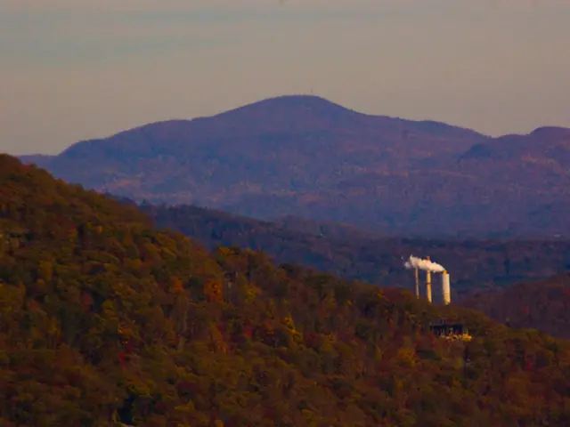 Exploring Emission Reduction: An In-Depth Analysis of Scope 1 and Scope 2 Influences