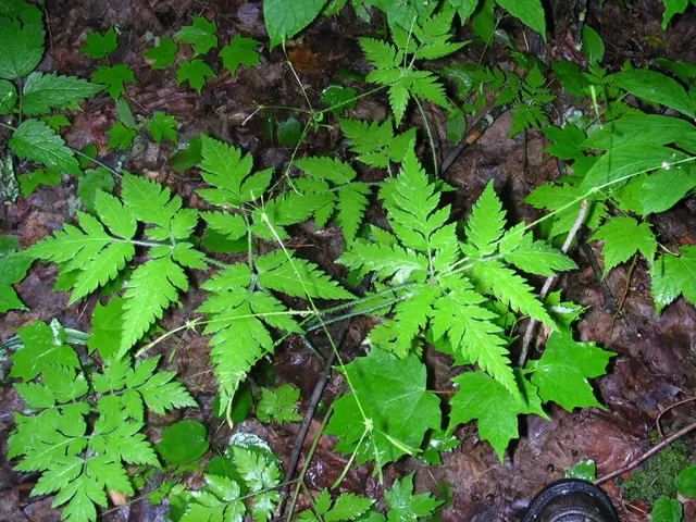 Green Youth leader Nietzard departs, resolving past disputes