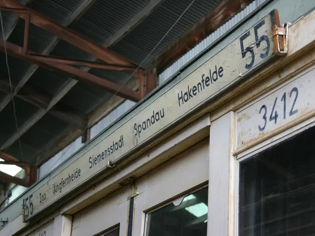 Solo Business Ownership or Simplified Business Entity