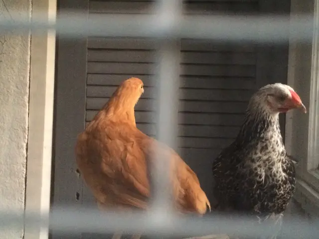 London nannies receive a £4,500 pay increase - wonder about nanny's salary in your location?