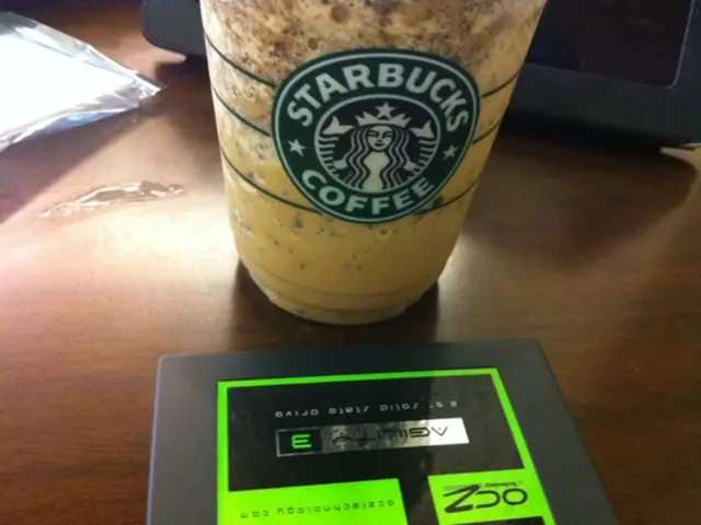 America Contemplates Eliminating Customs Duties for Coffee and Cacao Imports