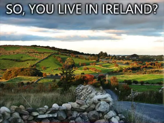 Utility company Southern California Edison establishes financial aid for those affected by the...