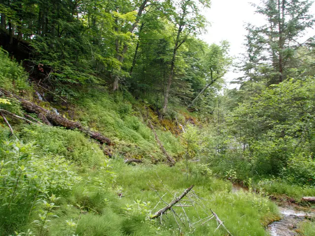 Economic Land Factors: An Examination